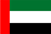 UAE Flag image